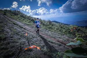 BIB: 
                            <button type="button" onclick="openModal(15955350)" class="btn btn-primary btn-sm float-right btn-popup" data-toggle="modal" data-target=".modal-high-quality">
                        <i class="fas fa-shopping-cart"></i> Add to Cart
                    </button>
                                            <button type="button" onclick="isThisMe(15955350, true)" class="btn btn-success btn-sm float-right btn-popup btn-isme hidden" data-toggle="tooltip" data-placement="bottom" title="นี่คือรูปของคุณใช่ไหม คลิกที่นี่เพื่อเอาเข้าอัลบั้ม">
                        <i class="fas fa-plus"></i> Add to album
                    </button>
                    <button type="button" onclick="isThisMe(15955350, false)" class="btn btn-warning btn-sm float-right btn-popup btn-isnotme hidden">
                        <i class="fas fa-ban"></i> Remove from album
                    </button>